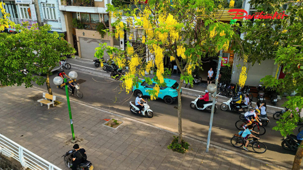 Hà Nội đẹp nao lòng vào mùa hoa tháng Năm