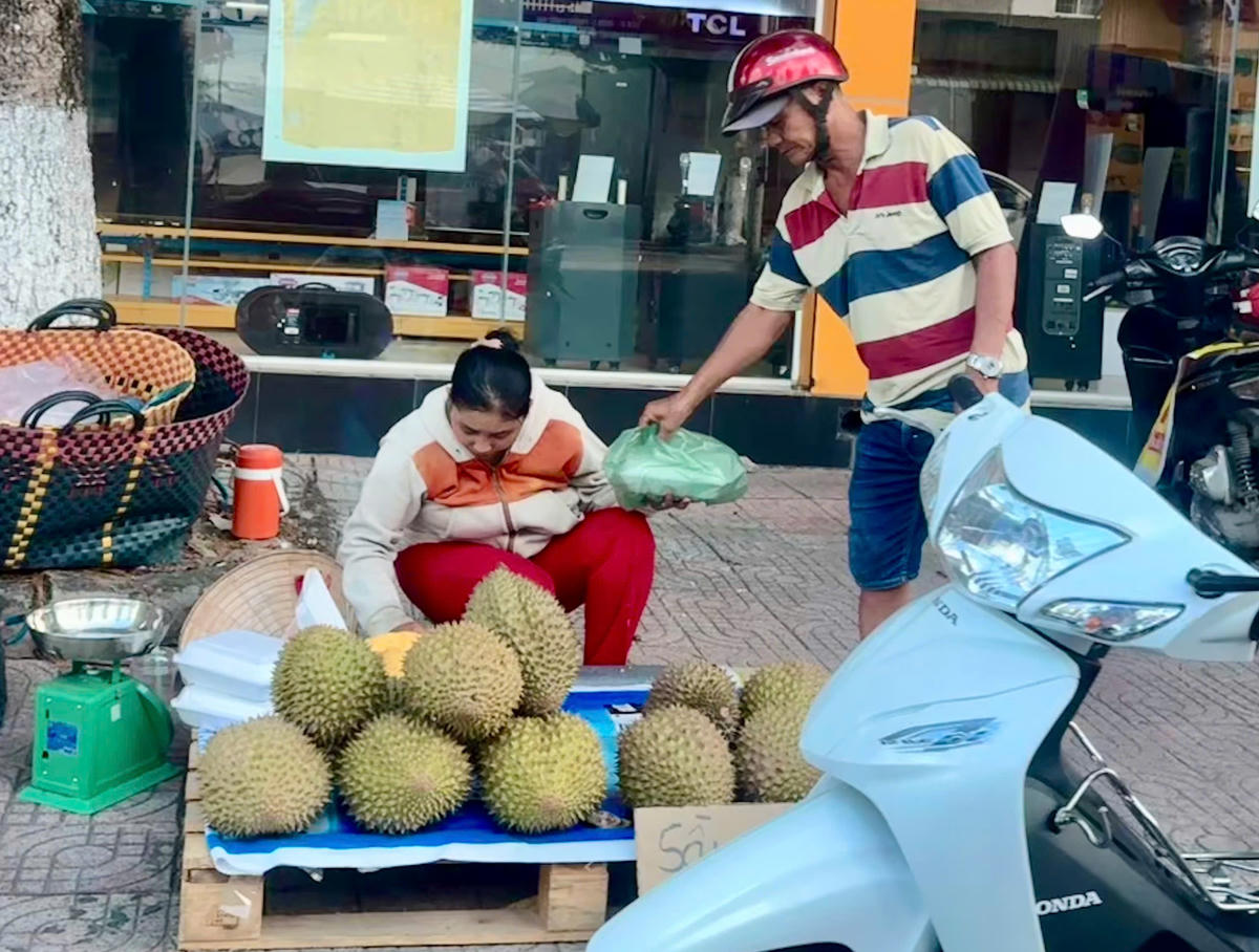 Sầu riêng được bày bán ven đường tại Đồng Tháp với giá thấp giữa lúc đầu ra xuất khẩu gặp khó. (Ảnh: Trung Ngãi).