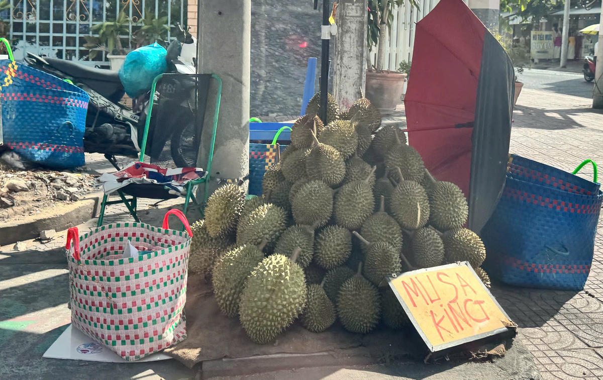 Gỡ nút thắt đầu ra cho sầu riêng Đồng Tháp