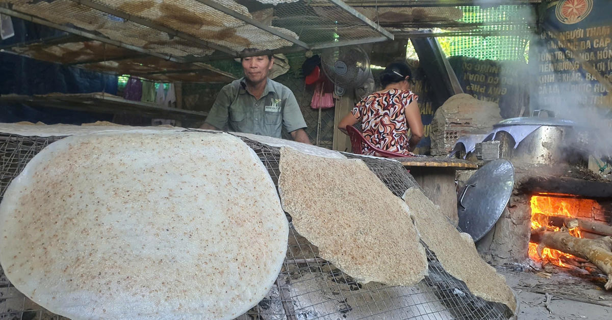 Đà Nẵng Food Tour: Trải nghiệm đa dạng ẩm thực Hội An, Điện Bàn, Tam Kỳ, Đại Lộc