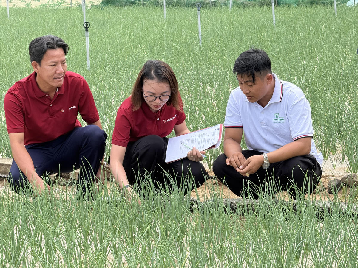 Cán bộ tín dụng của Agribank đang trao đổi với lãnh đạo Công ty Phú Sinh