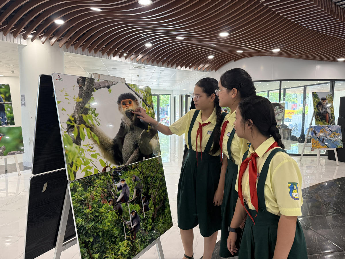 Đà Nẵng: Học sinh vẽ tranh tập thể Ngày hội đa dạng sinh học 2026