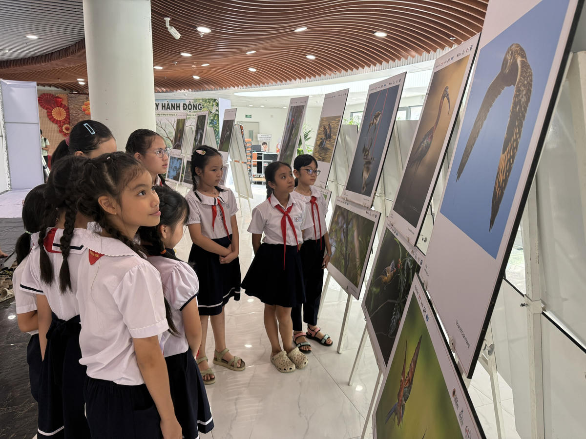 Đà Nẵng: Học sinh vẽ tranh tập thể Ngày hội đa dạng sinh học 2026