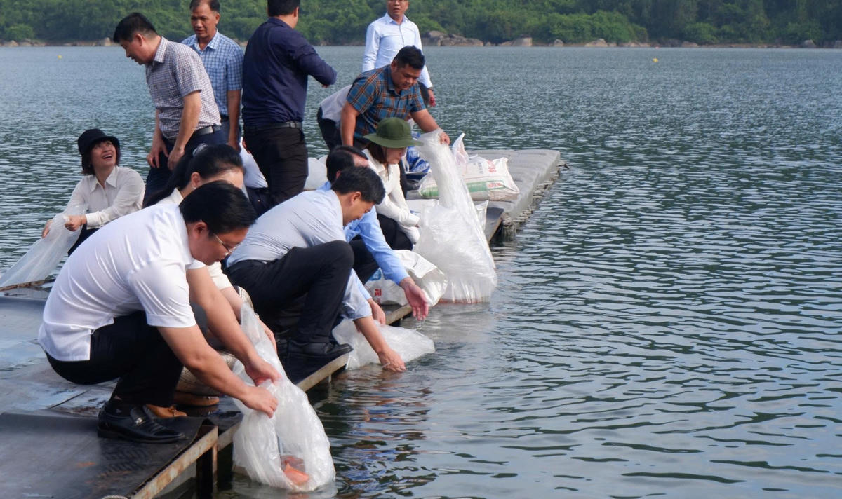 Thả gần 110.000 con cá, tôm giống tái tạo nguồn lợi thủy sản