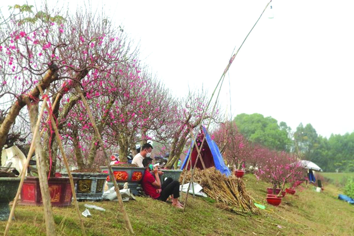 Cạn chén với sông Thương