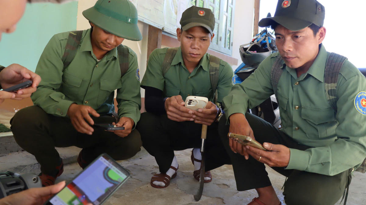 Nhân viên xem dữ liệu tuần tra rừng được cập nhật trên hệ thống theo dõi của vườn quốc gia Chư Mom Ray. Ảnh: BT.