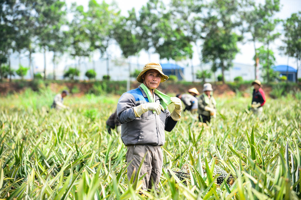 Dưới nắng nóng gay gắt, người lao động phải mang theo nước uống, tranh thủ vài phút nghỉ ngơi rồi tiếp tục công việc. Ảnh: Đình Minh