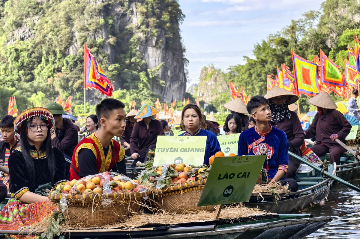 Tam Cốc rực rỡ sắc vàng mùa lễ hội 2026