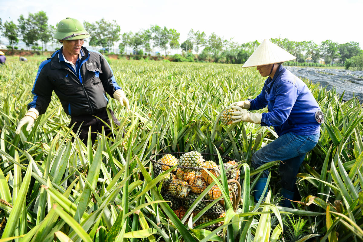 Càng về trưa, nền nhiệt ngoài trời càng tăng cao, hơi nóng hắt lên từ đất đá khiến không khí thêm oi bức. Dẫu vậy, nhịp làm việc của người lao động gần như không ngơi nghỉ. Ảnh: Đình Minh