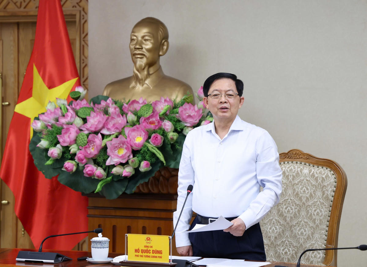 Phó Thủ tướng Hồ Quốc Dũng phát biểu - Ảnh: Gia Huy
