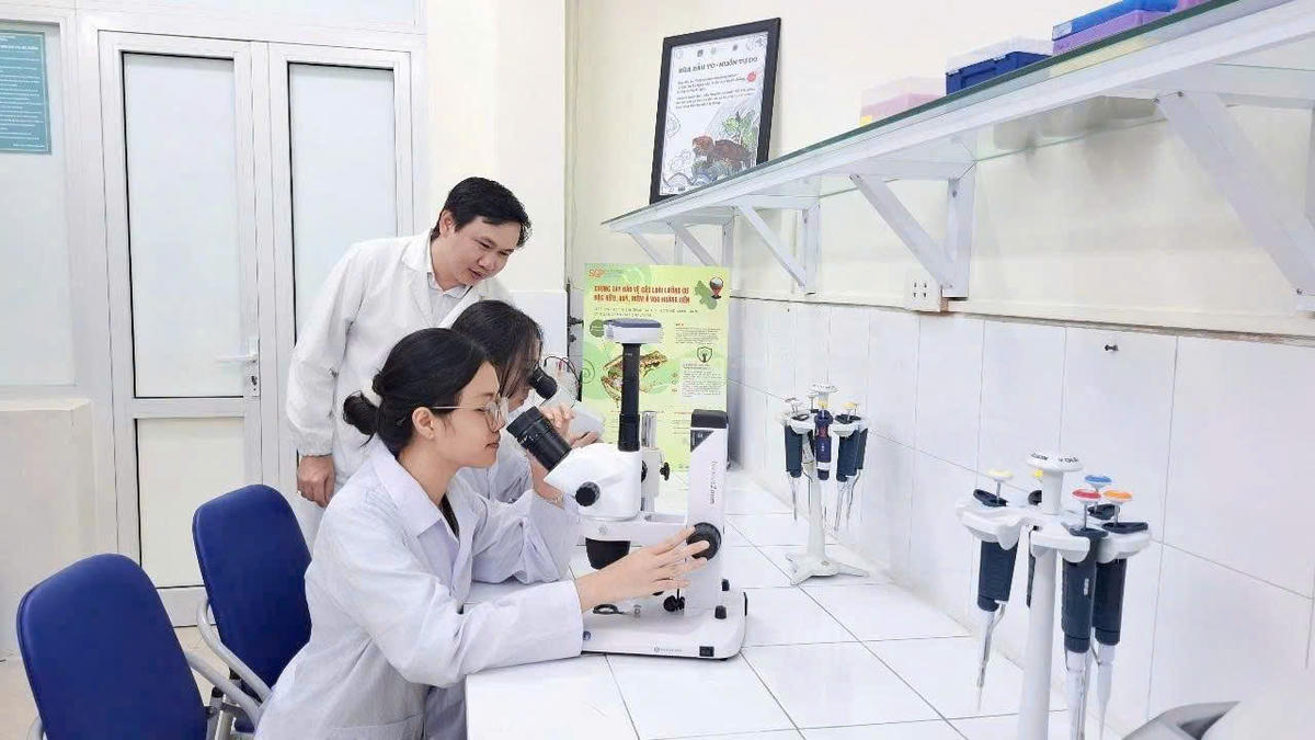 Nghiên cứu khoa học ở Trường ĐH Khoa học Tự nhiên, ĐHQGHN.Ảnh: VNU.