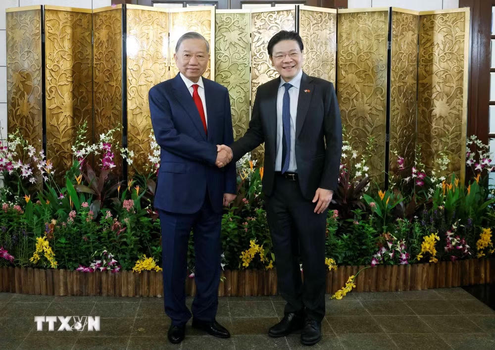ttxvn-tong-bi-thu-chu-tich-nuoc-to-lam-hoi-dam-voi-thu-tuong-singapore-29-1.jpg