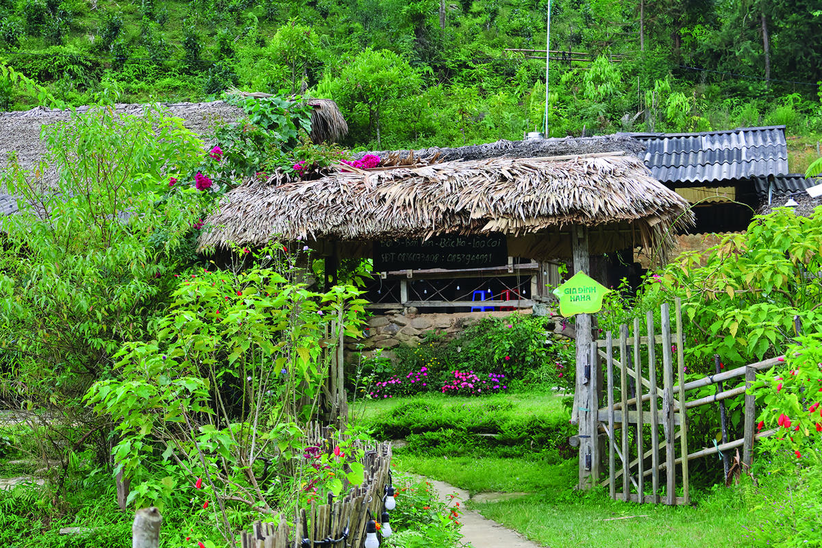 Địa điểm du lịch với không gian thiên nhiên dần được ưa chuộng. Ảnh: Thuỳ Dương.