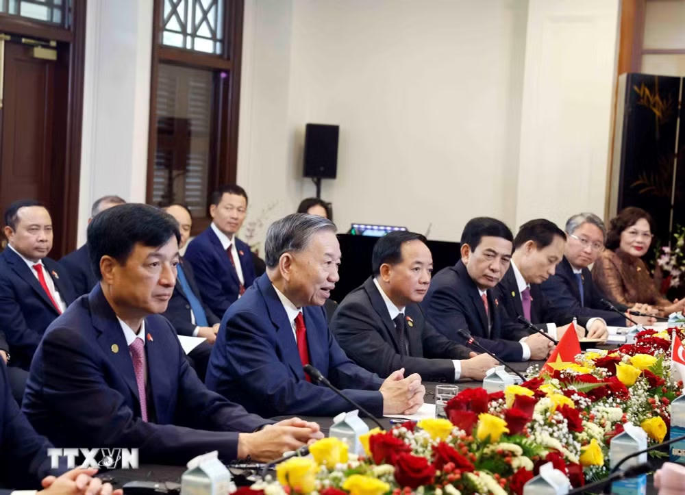 ttxvn-tong-bi-thu-chu-tich-nuoc-to-lam-hoi-dam-voi-thu-tuong-singapore-29-6.jpg