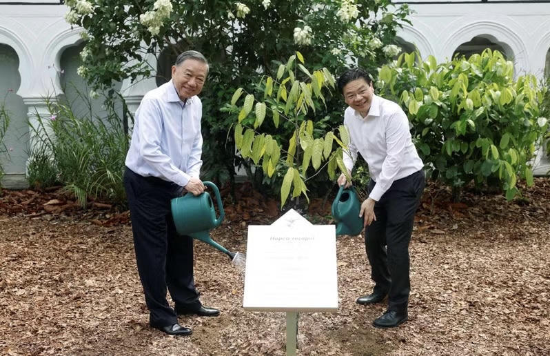 Tổng Bí thư, Chủ tịch nước Tô Lâm trồng cây tại Vườn Bách thảo Singapore