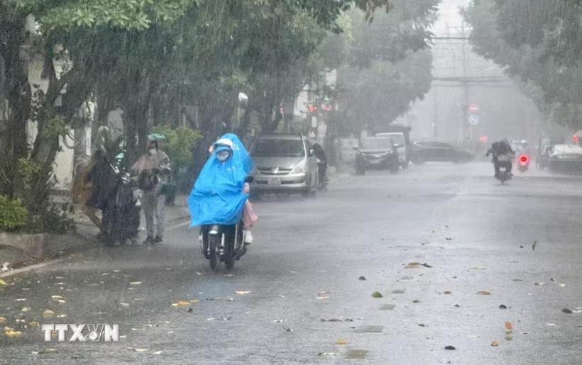 Cảnh báo mưa lớn ở Nam Bộ và Lâm Đồng. (Ảnh: Trung Tuyến/TTXVN).