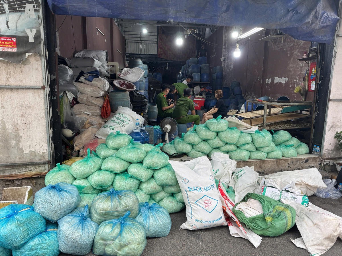 TP Hồ Chí Minh: Triệt phá 3 cơ sở sản xuất hơn 1.000 tấn giá đỗ bẩn, độc hại