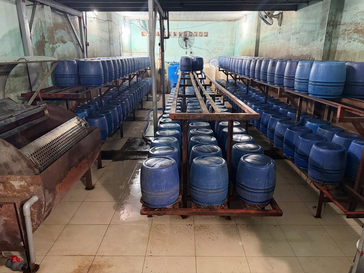 TP Hồ Chí Minh: Triệt phá 3 cơ sở sản xuất hơn 1.000 tấn giá đỗ bẩn, độc hại
