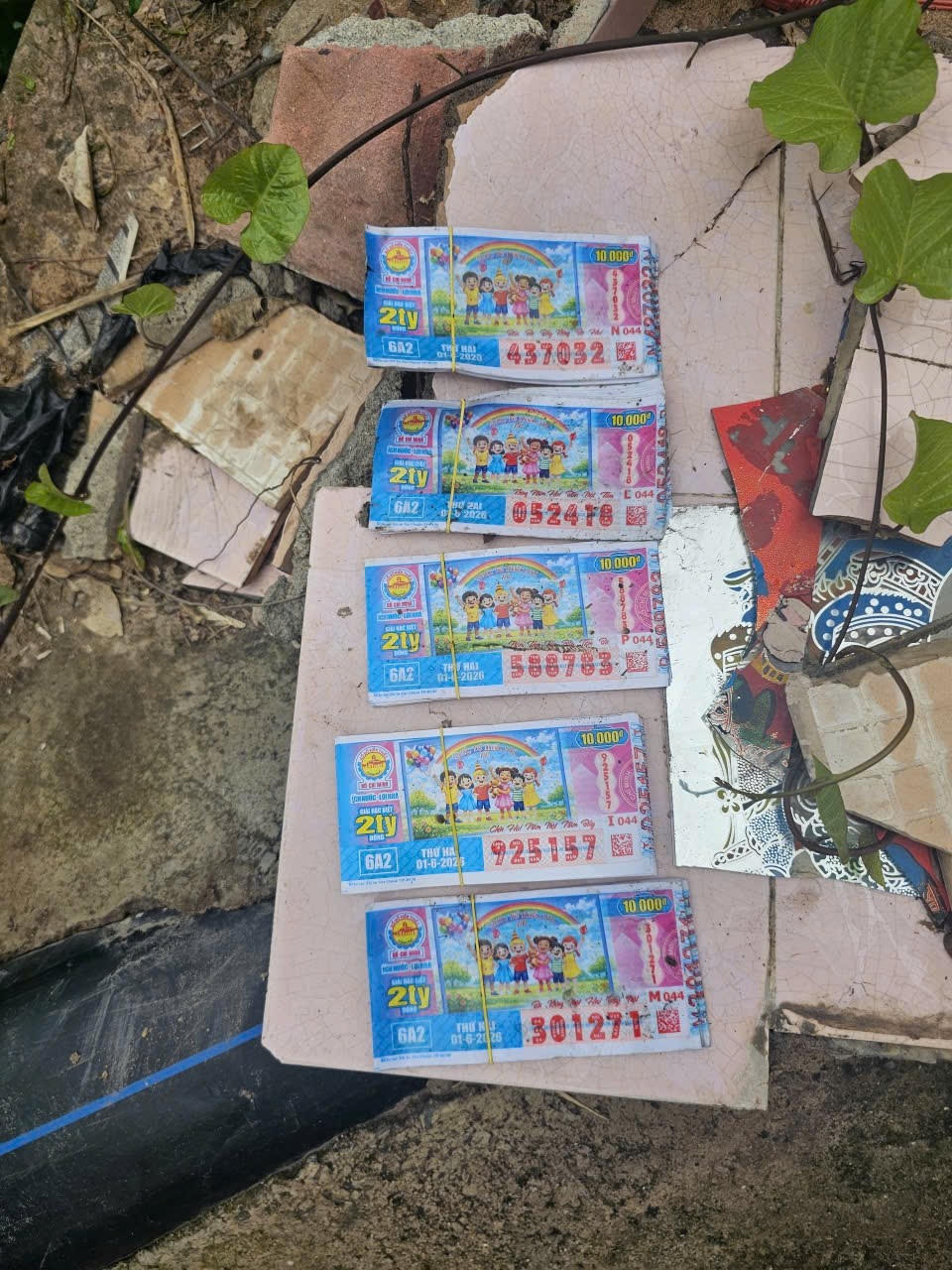 TP Hồ Chí Minh: Công an bắt đối tượng cướp vé số sau 11 tiếng nhận tin báo