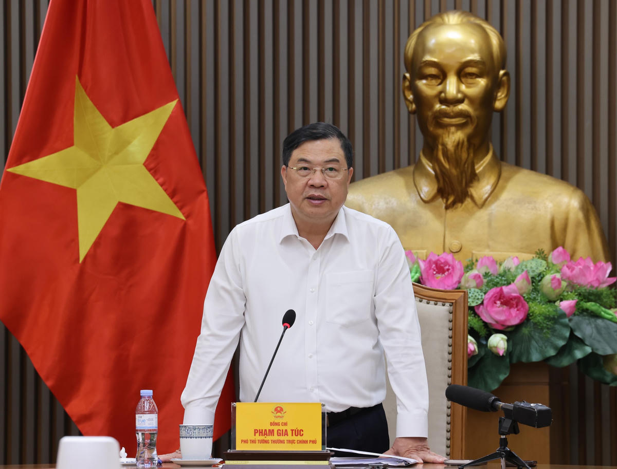 Phó Thủ tướng Thường trực Phạm Gia Túc phát biểu chỉ đạo. Ảnh: Lâm Khánh - TTXVN