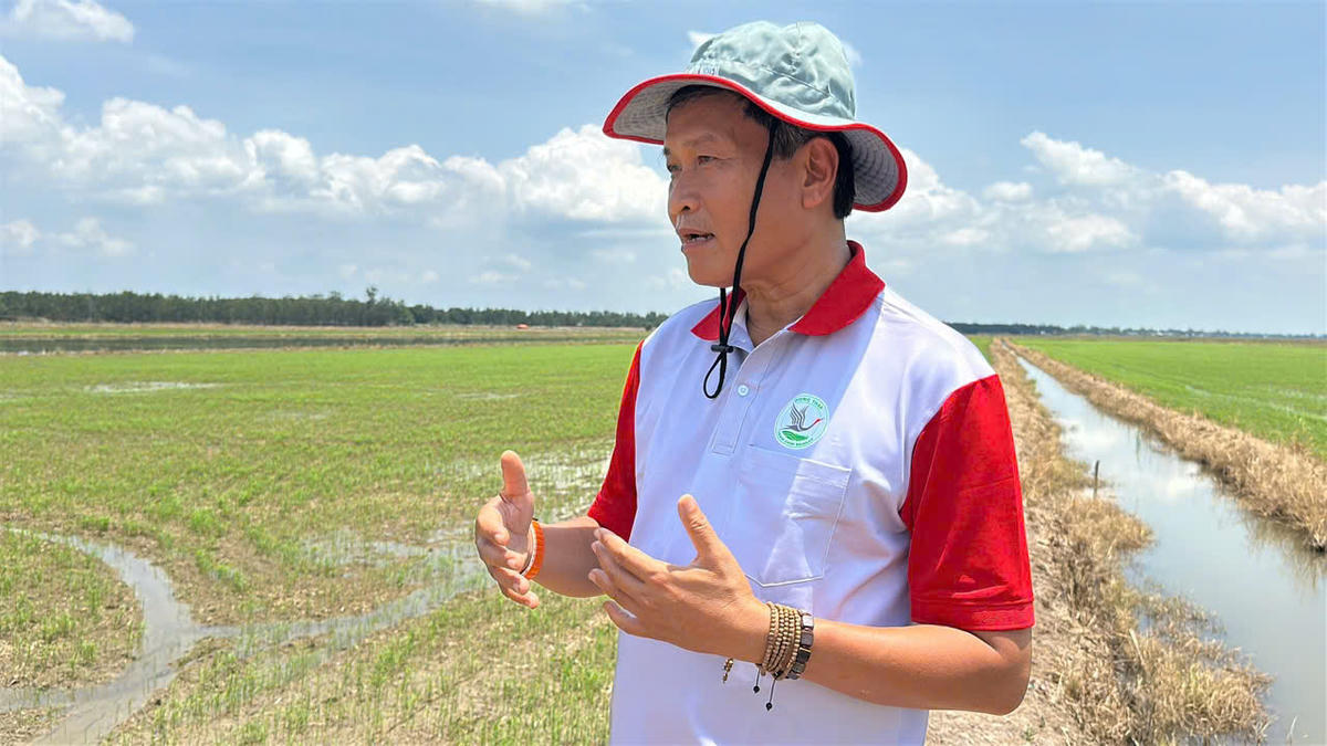 Tiến sĩ Trần Triết trao đổi với phóng viên Báo Đại Đoàn Kết về hành trình bảo tồn sếu đầu đỏ và phục hồi sinh cảnh Tràm Chim. (Ảnh: Trung Ngãi).