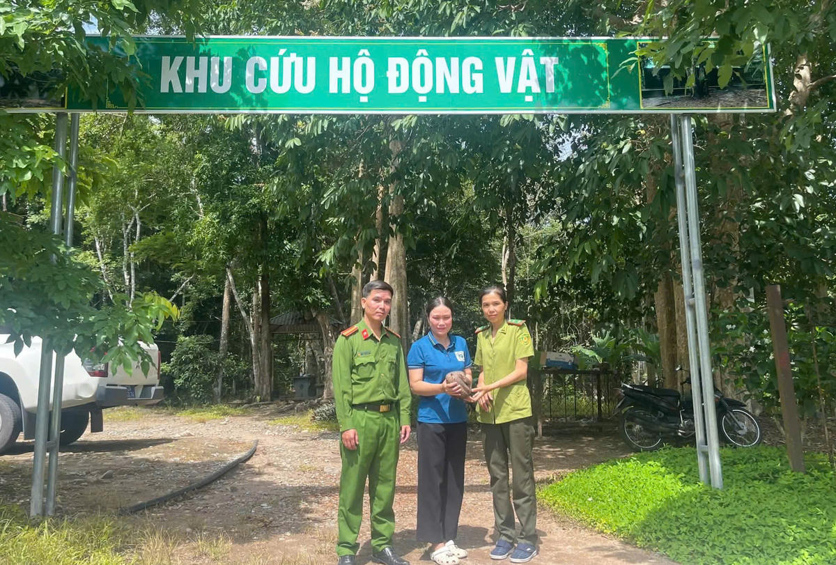 Người dân bàn giao cá thể tê tê cho lực lượng chức năng. Ảnh: CA.