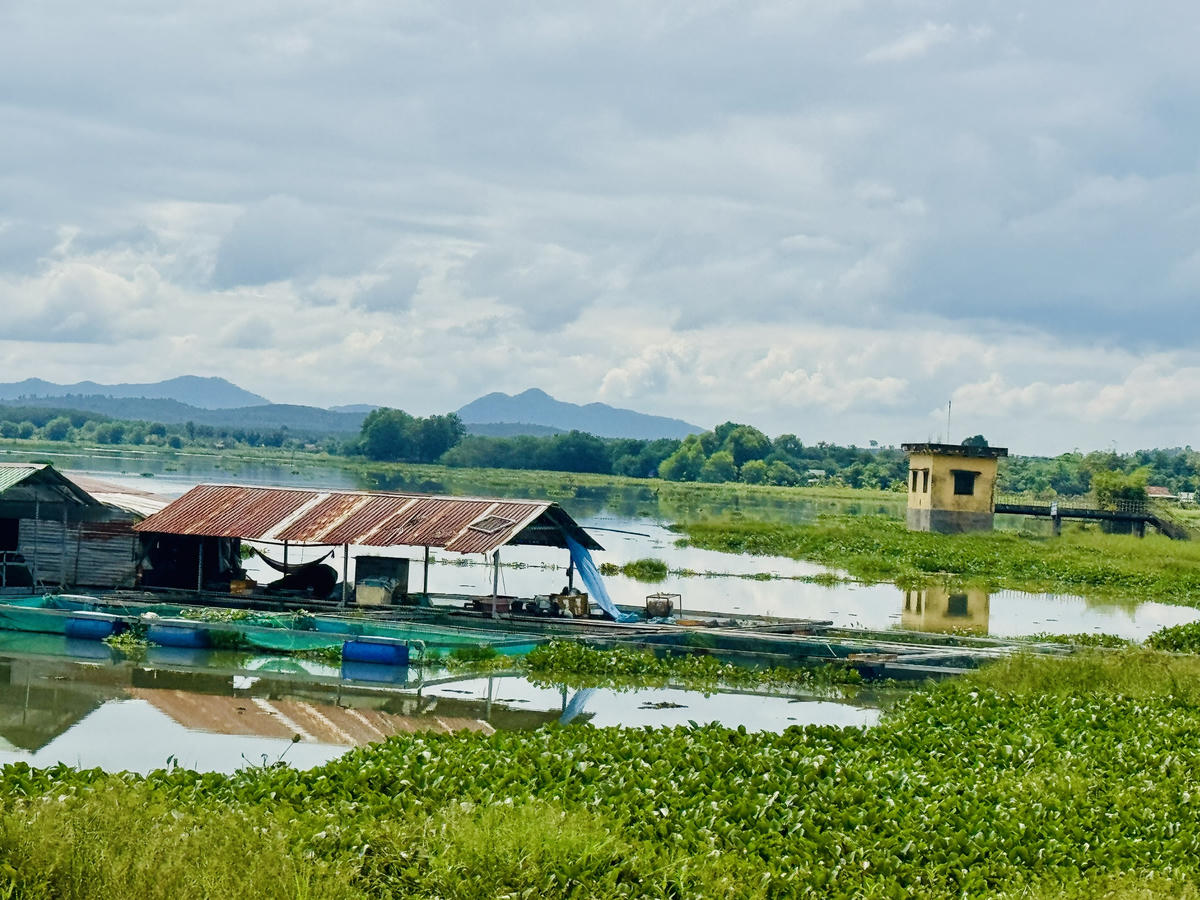 Thực trạng các lồng bè nuôi cá trái phép trong lòng hồ Ea Súp Hạ trước đây. Ảnh: Thanh Nga.