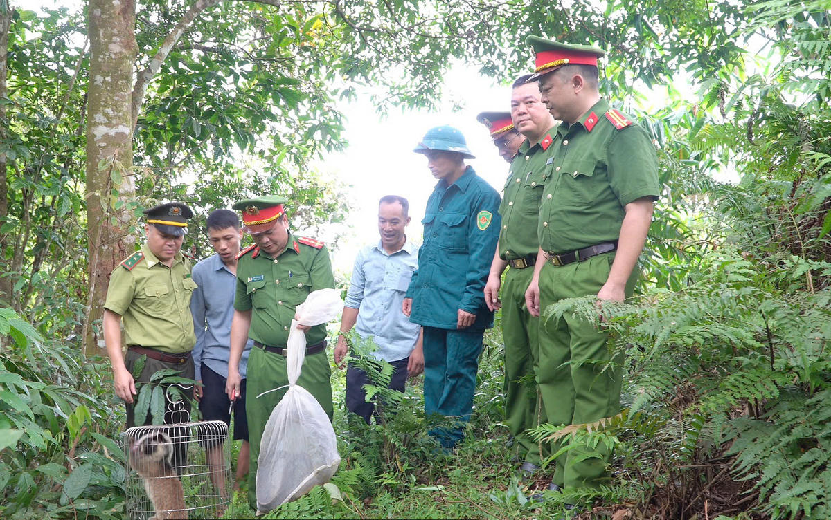 Công an phường Hà Giang 1, Hạt Kiểm lâm khu vực XIII cùng đại diện Tổ dân phố 28 thả động vật hoang dã về rừng.