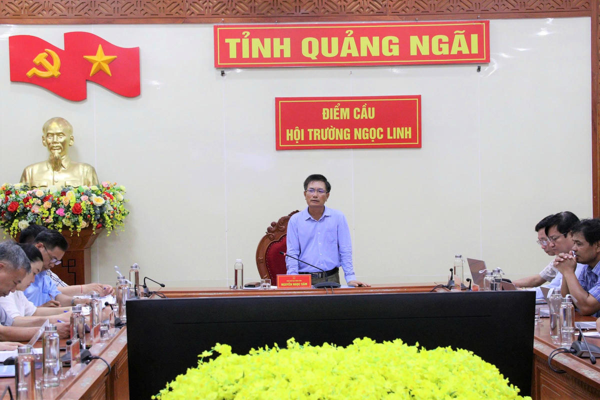Ông Nguyễn Ngọc Sâm, Phó Chủ tịch UBND tỉnh Quảng Ngãi phát biểu tại buổi làm việc. Ảnh: HN.