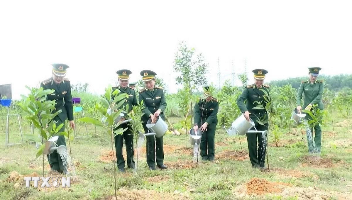 ttxvn-trong-cay-1.jpg