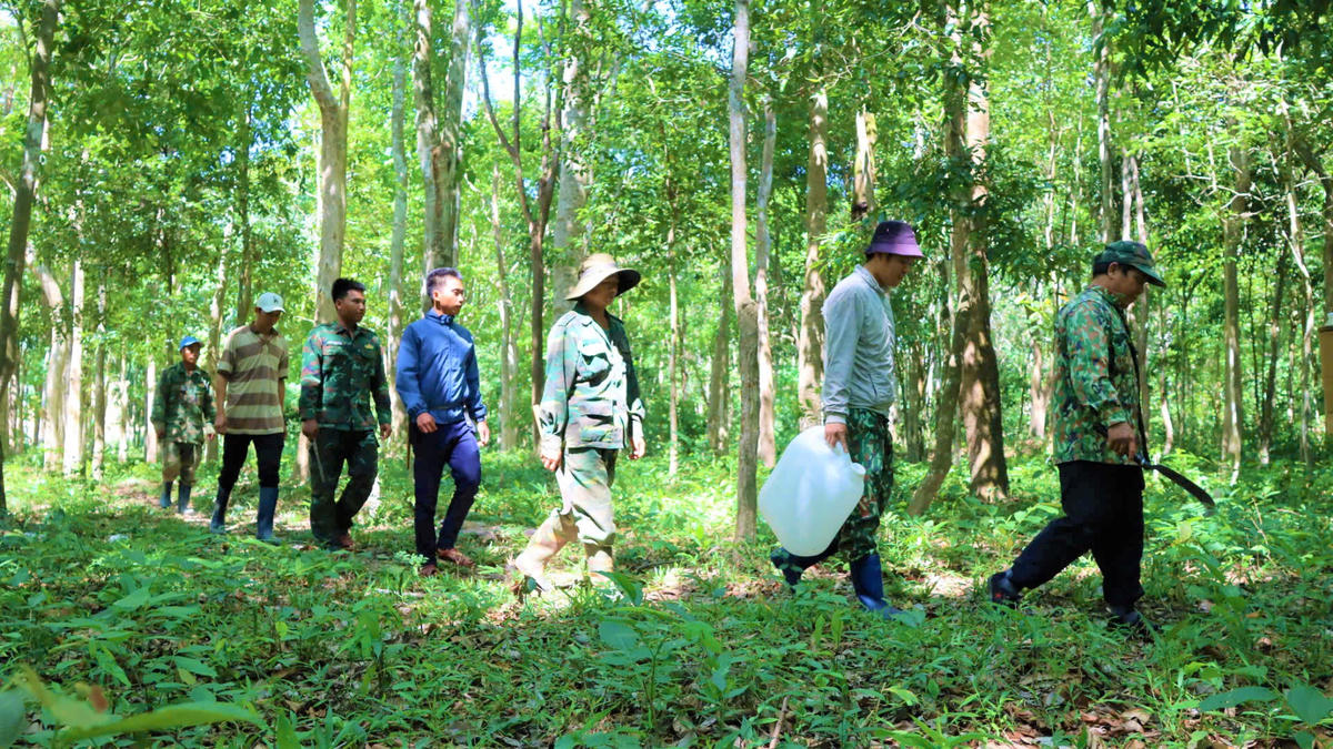 Quảng Ngãi giữ rừng giữa mùa nắng nóng - Bài 1: Nhọc nhằn tìm nước giữa đại ngàn