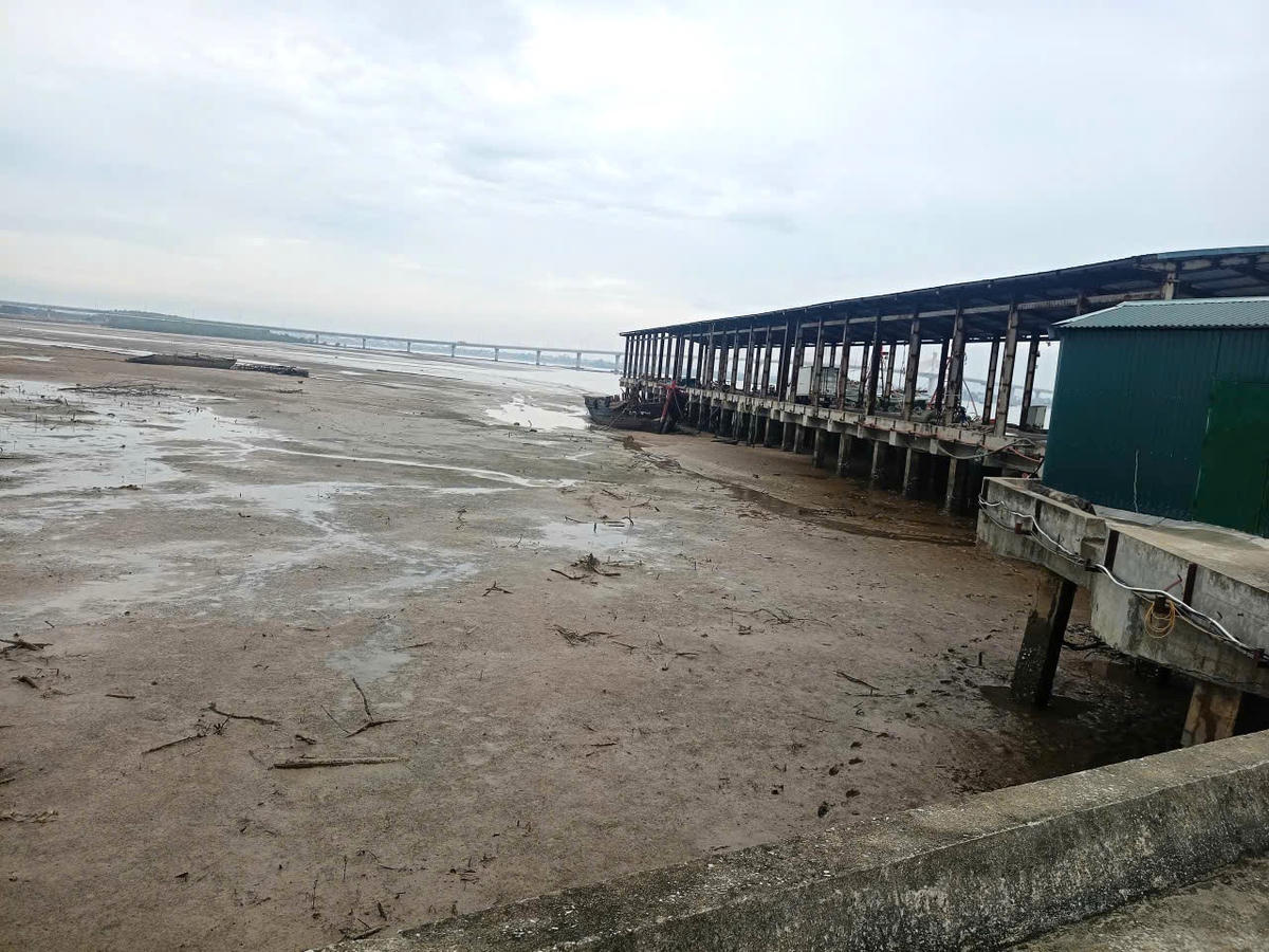 Luồng lạch bồi lấp, tàu cá khó vào khu neo đậu tránh trú bão