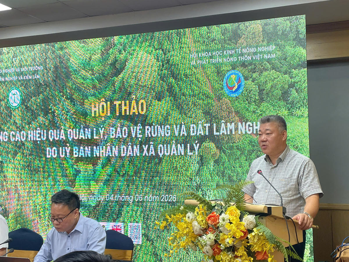 Từ thực tiễn nghiên cứu, khảo sát các chuyên gia cho rằng cần khẩn trương hoàn thiện thể chế, chính sách để tháo gỡ những “nút thắt” trong quản lý đất lâm nghiệp do UBND xã quản lý. Ảnh: L.H