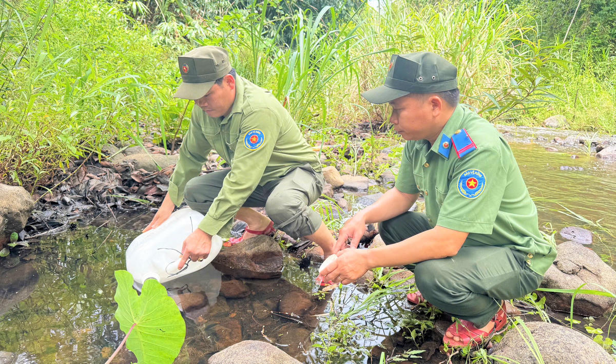 Quảng Ngãi giữ rừng giữa mùa nắng nóng - Bài 1: Nhọc nhằn tìm nước giữa đại ngàn
