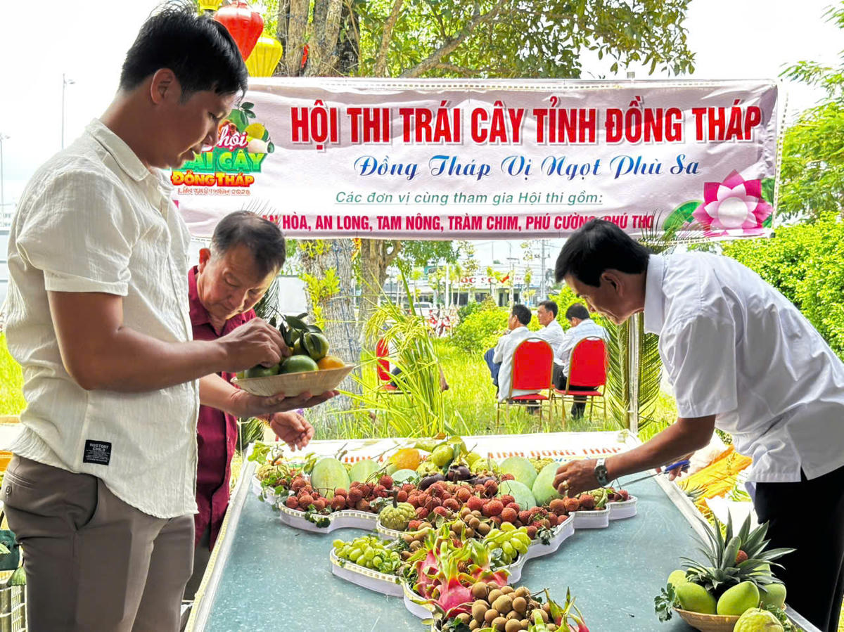Ghi nhận từ chiều 5/6, tại Quảng trường Hùng Vương (phường Đạo Thạnh, tỉnh Đồng Tháp), không khí trước giờ khai mạc Lễ hội Trái cây Đồng Tháp lần thứ I năm 2026 trở nên sôi động. Các không gian trưng bày, giới thiệu trái cây đặc sản, sản phẩm OCOP cùng nhiều tiểu cảnh phục vụ du khách đã hoàn tất những khâu chuẩn bị cuối cùng. (Ảnh: Trung Ngãi).