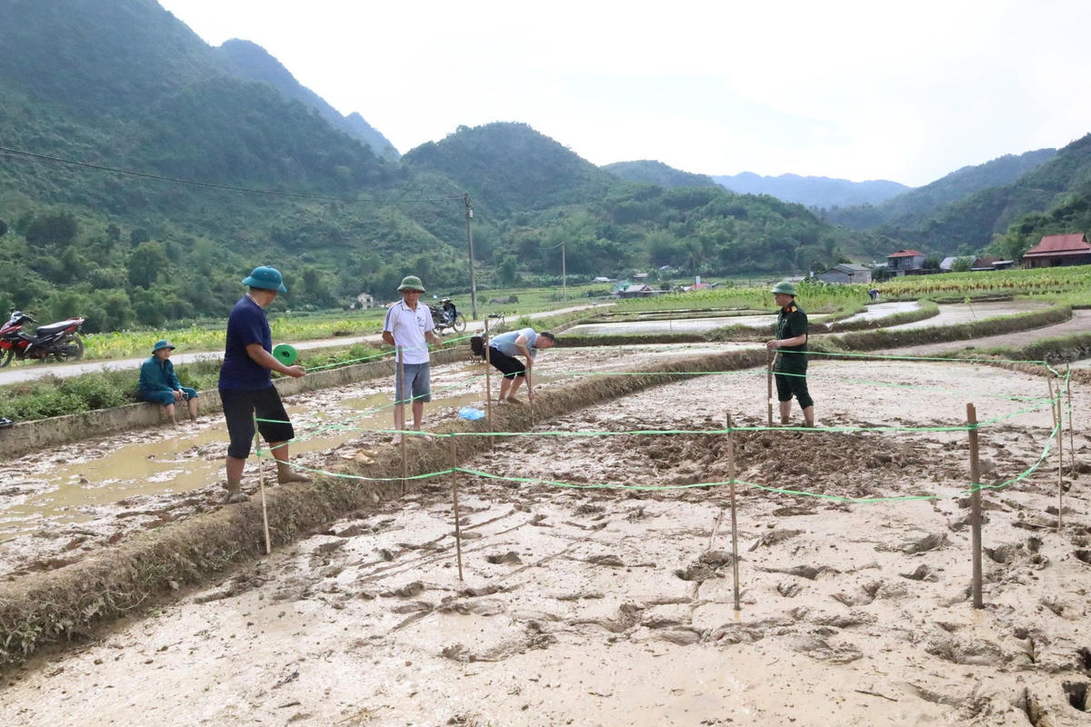 Trao đổi với phóng viên Báo Đại đoàn kết, bà Linh Thanh Tuyền - Chủ tịch UBND xã Trường Hà cho biết, xã sẽ phối hợp với Sở Nông nghiệp và Môi trường tiến hành kiểm tra, đánh giá và có các biện pháp xử lý thông báo đến người dân.