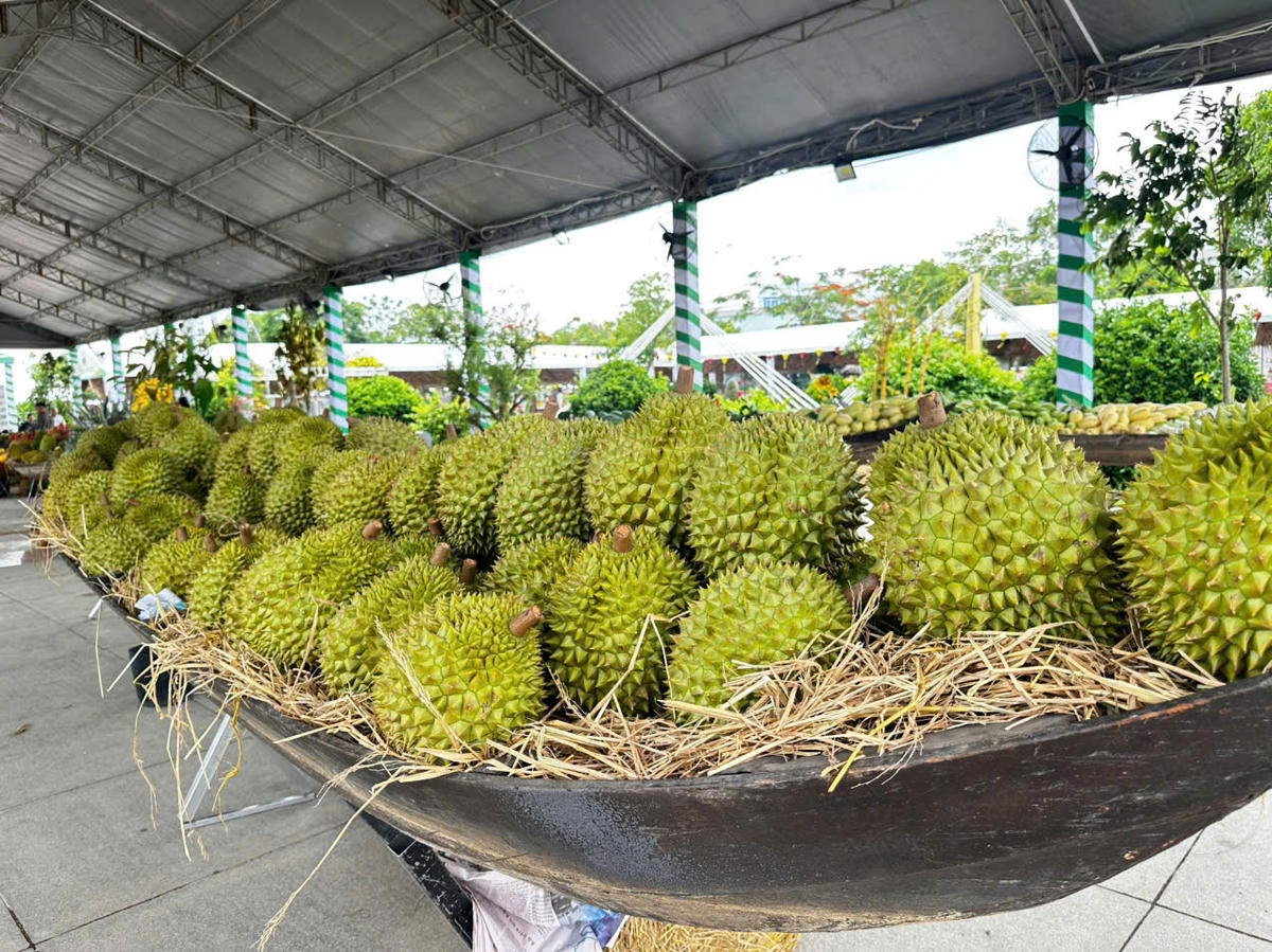 Theo ông Lê Hà Luân, Giám đốc Sở Nông nghiệp và Môi trường tỉnh Đồng Tháp, lễ hội được kỳ vọng trở thành điểm khởi đầu cho giai đoạn phát triển mới của ngành hàng trái cây địa phương, nơi chất lượng, thương hiệu, truy xuất nguồn gốc và liên kết chuỗi giá trị là nền tảng nâng cao sức cạnh tranh của nông sản Đồng Tháp. (Ảnh: Trung Ngãi)
