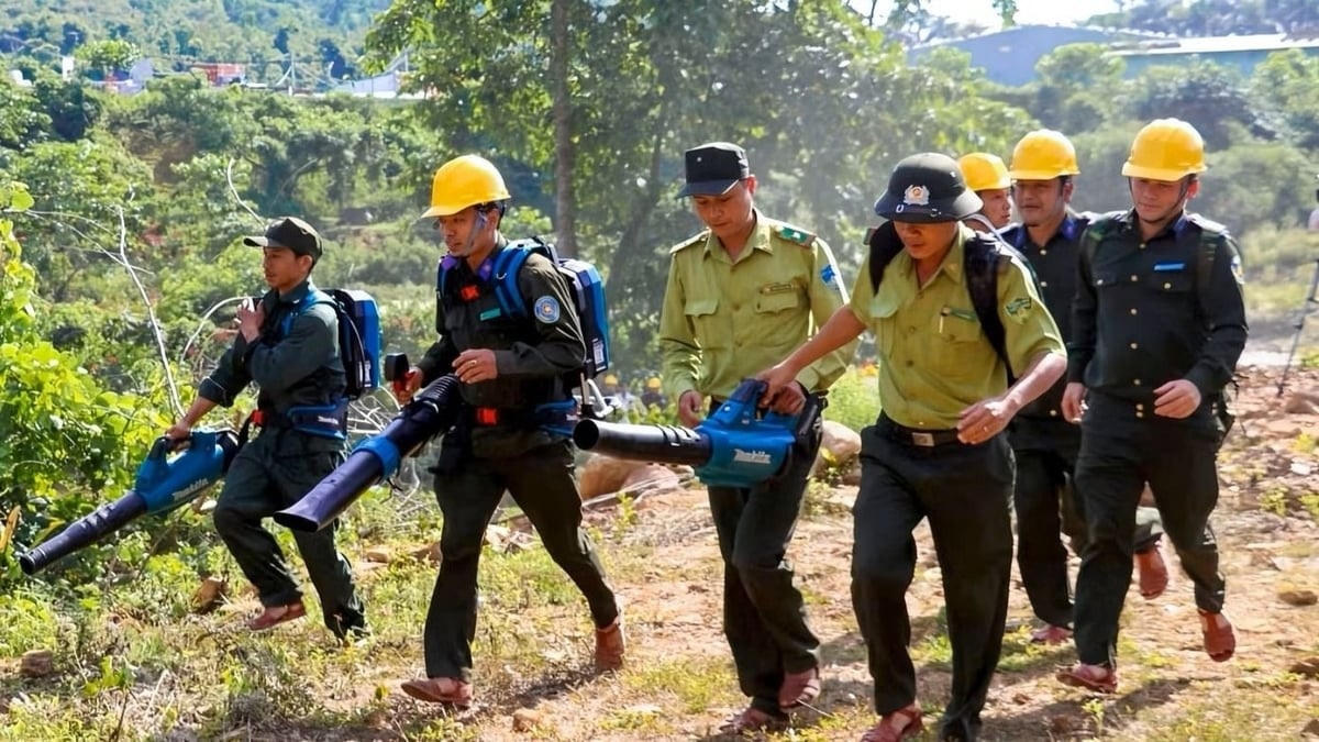 Cán bộ, chiến sĩ của Hạt kiểm lâm TP Đà Nẵng nỗ lực ngăn ngừa phòng cháy rừng vào mùa nắng nóng. Ảnh: KL.