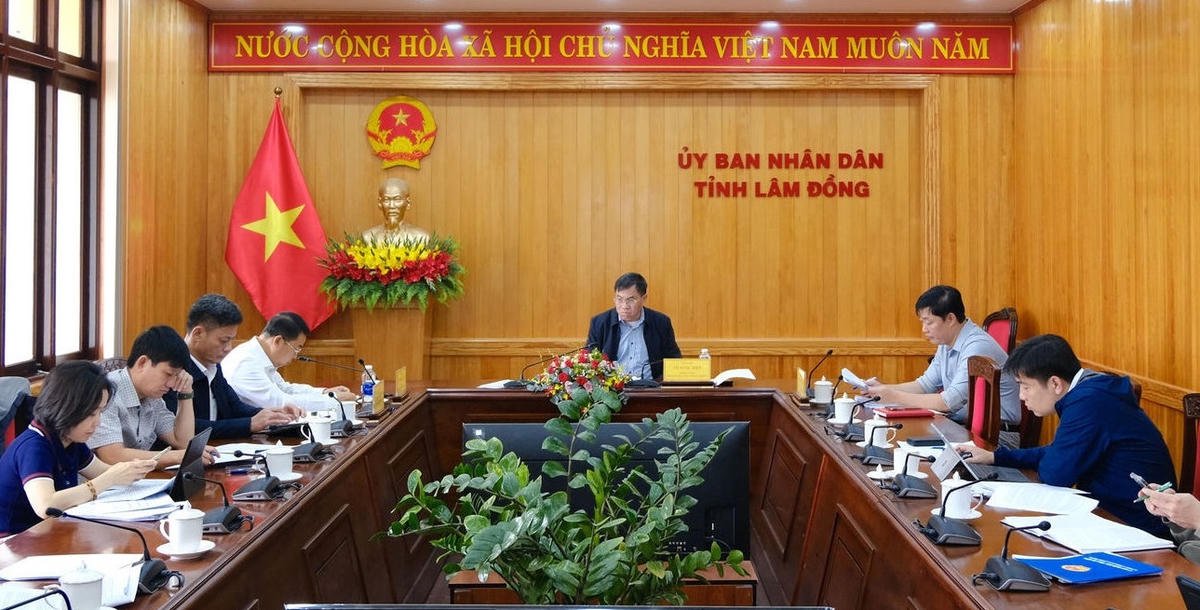 Ông Võ Ngọc Hiệp, Phó Chủ tịch UBND tỉnh Lâm Đồng, chủ trì buổi làm việc.
