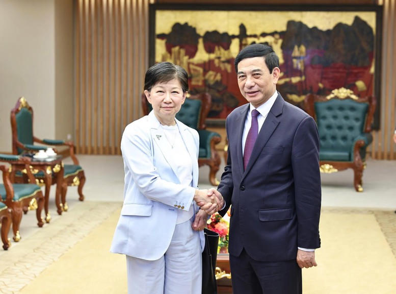 Phó Thủ tướng Chính phủ Phan Văn Giang tiếp bà Izumi Nakamitsu.