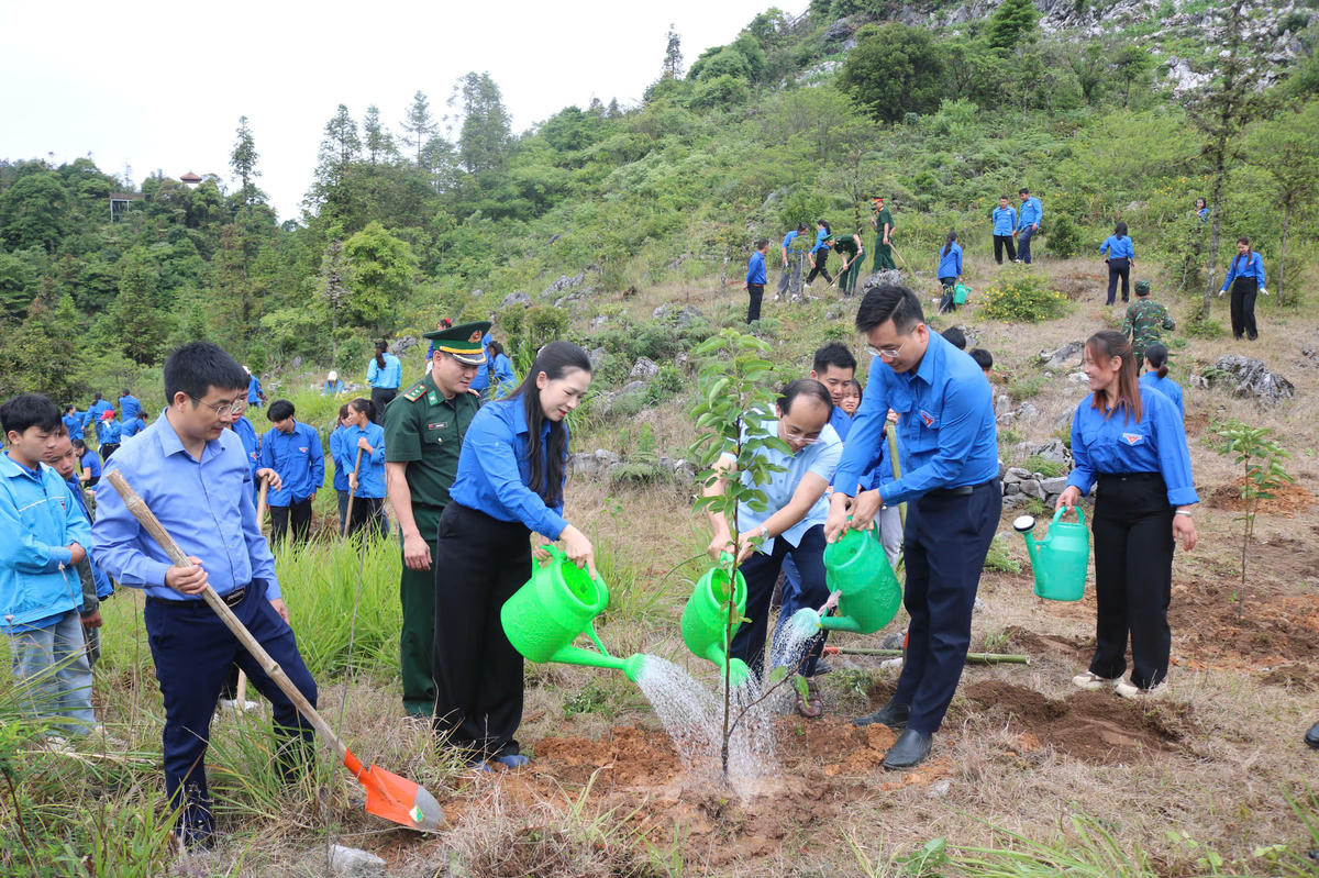 Các đại biểu tham gia trồng cây xanh tại xã Tùng Vài.