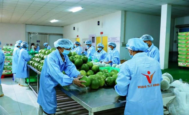 Nâng giá trị trái cây Việt