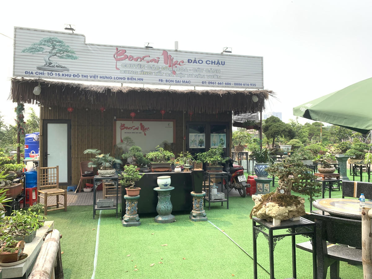 Phường Việt Hưng (Hà Nội): Đề nghị kiểm tra hơn 2,1ha đất công được cho thuê với giá 6.000 đồng/m2