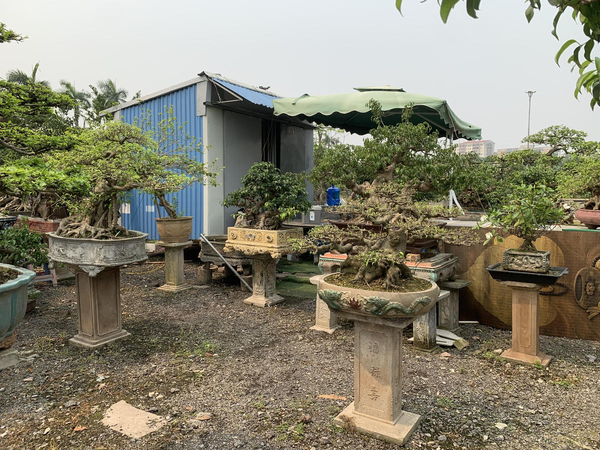 Phường Việt Hưng (Hà Nội): Đề nghị kiểm tra hơn 2,1ha đất công được cho thuê với giá 6.000 đồng/m2