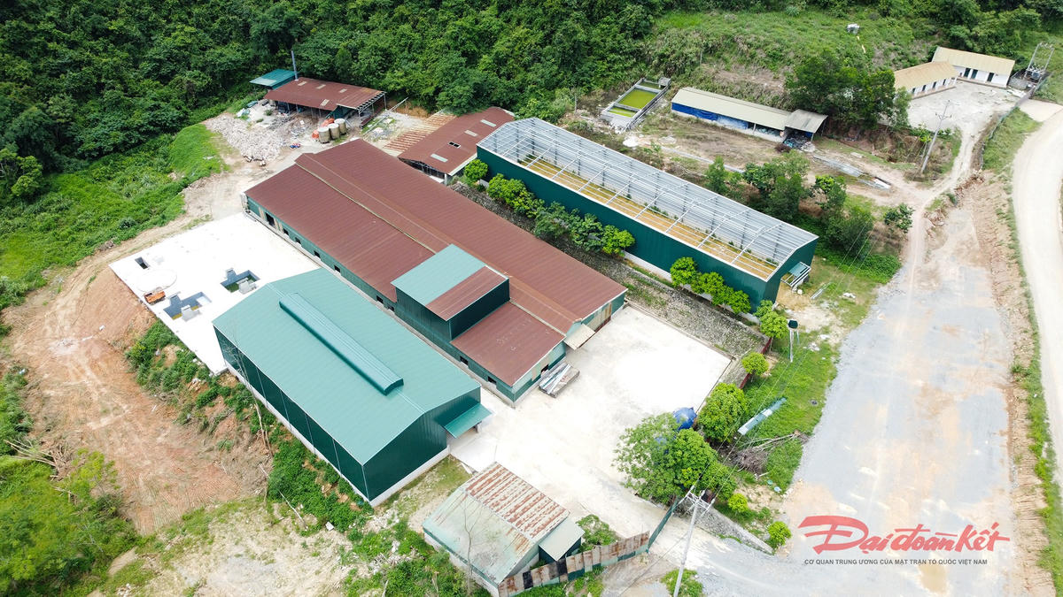 Dự án Trang trại chăn nuôi bò sinh sản và bò thịt xã Lê Lai (nay là xã Thạch An) hiện dừng hoạt động. Ảnh: Hân Nguyễn.