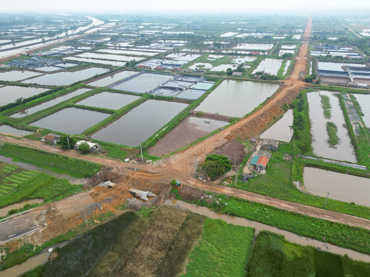 Theo báo cáo của Ban quản lý dự án đầu tư công trình giao thông (BQLDA ĐTCTGT) tỉnh Thanh Hóa, dự án tuyến đường bộ ven biển Nga Sơn - Hoằng Hóa có quy mô đầu tư xây dựng 23,72km đường giao thông cấp III đồng bằng với tổng mức đầu tư ban đầu hơn 2.242 tỷ đồng. Công trình được khởi công từ tháng 12/2021, dự kiến sẽ hoàn thành trước ngày 30/9/2024. Ảnh: Đình Minh