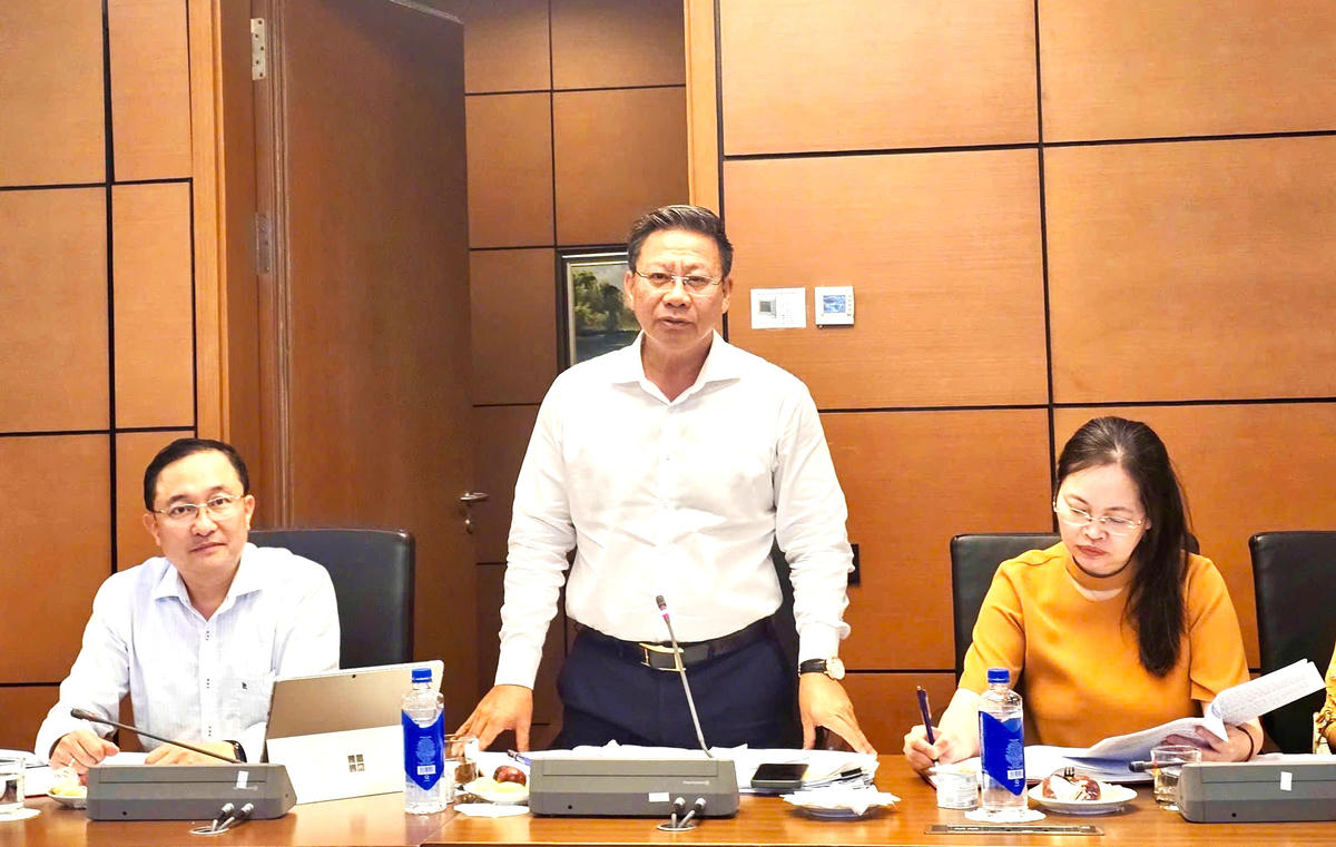 Thứ trưởng Bộ Tư pháp Nguyễn Thanh Ngọc phát biểu tại cuộc họp.