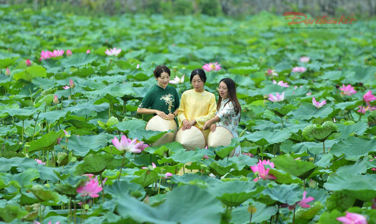 Giữa nhịp sống đô thị sôi động, đầm sen trở thành điểm đến lý tưởng để thư giãn và tận hưởng vẻ đẹp thiên nhiên.