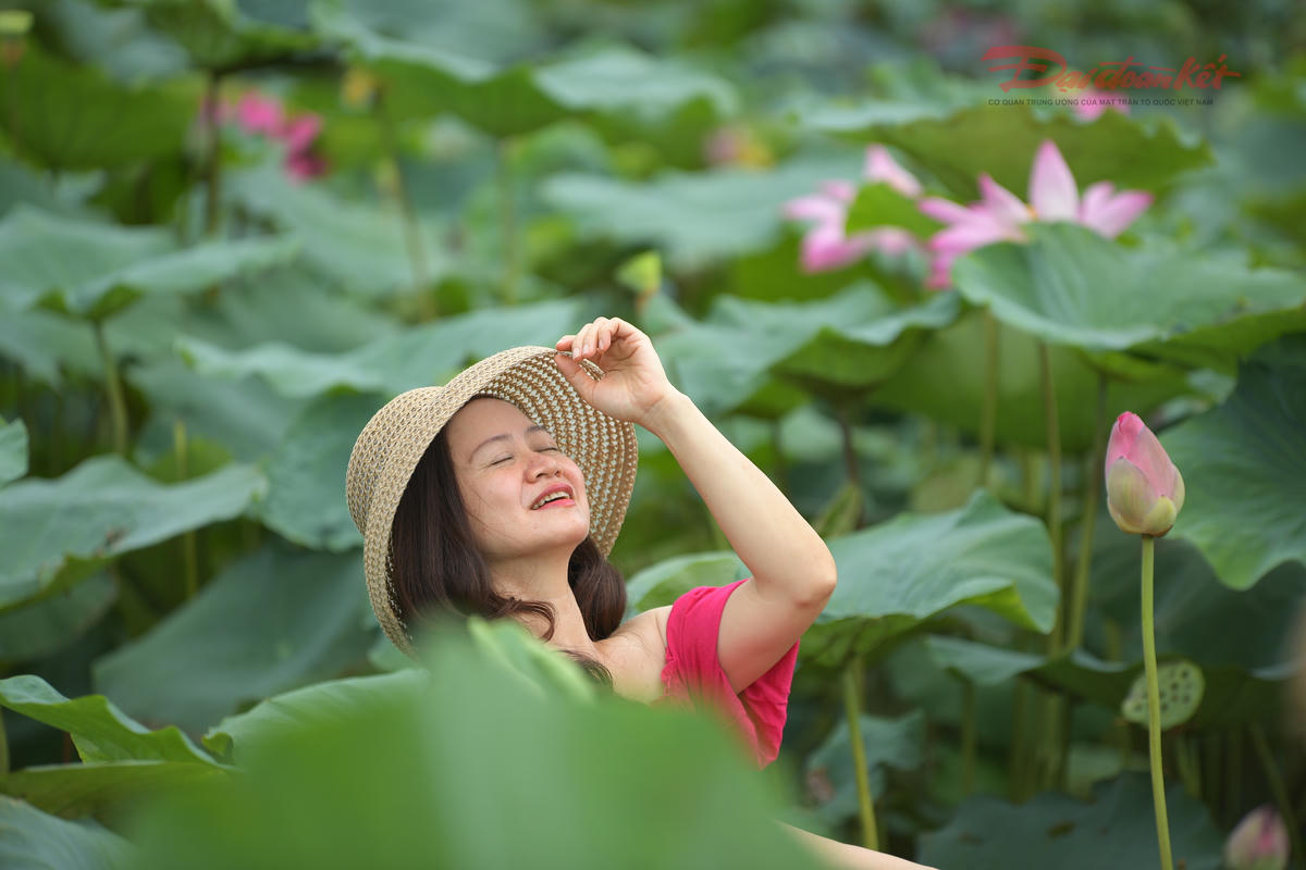 chup-anh-sen-ho-tay-8.jpg