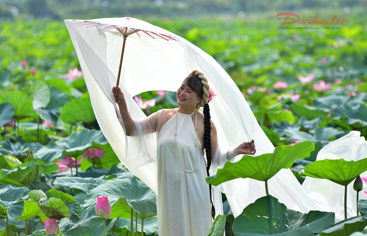 chup-anh-sen-ho-tay-4.jpg